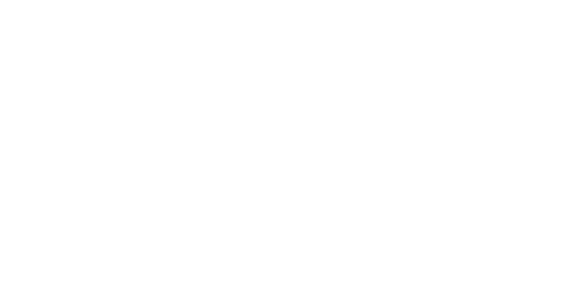 Mahmoud Saïd Signature
